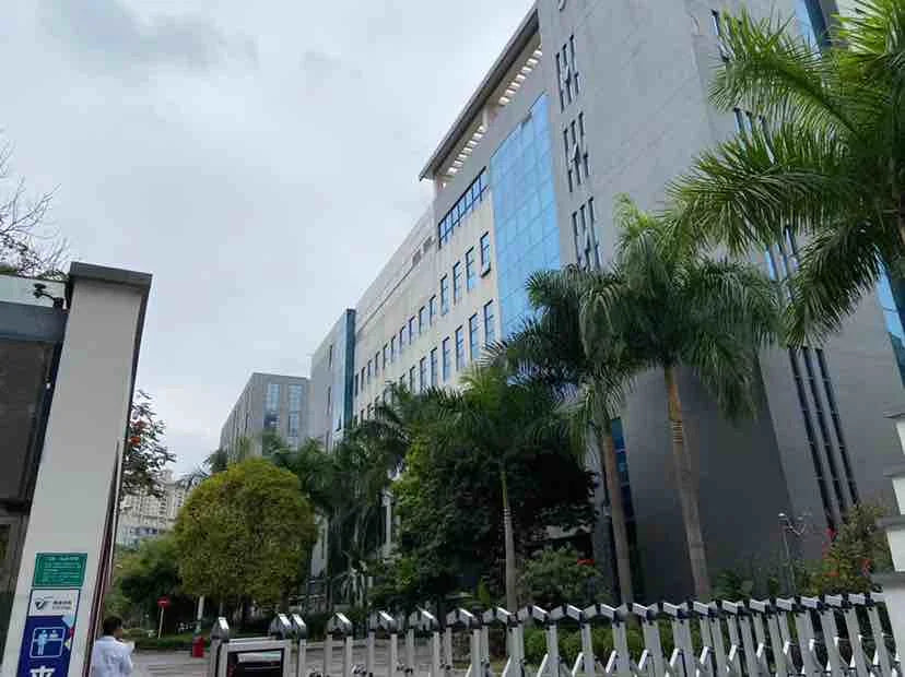 Automatic Mechanical Watches Swiss Movement Luxury Iced Out Watch Men Women Designers Hip Hop VVS D Colour Moissanite Watches